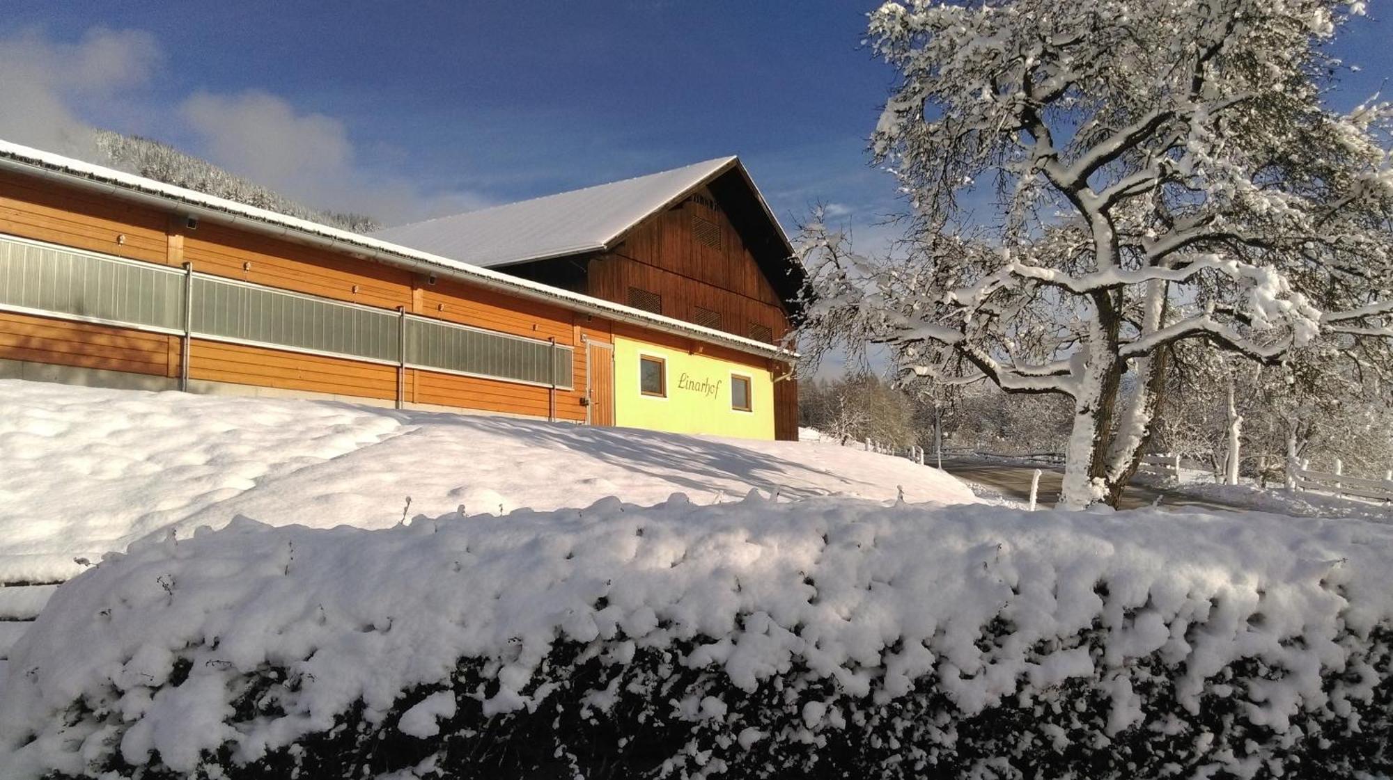 Linarhof Apartment Urlaub Am Bio Bauernhof Haus im Ennstal Exterior foto